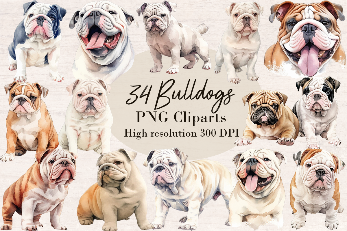 34 Watercolor Bulldog Dog PNG cliparts bundle, Dog lover Cliparts