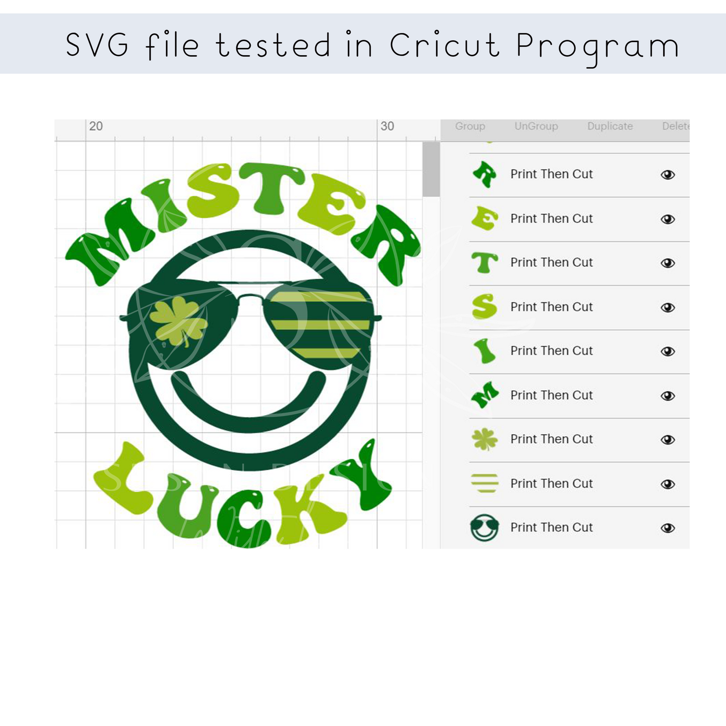 Mister Lucky SVG, St. Patrick Design