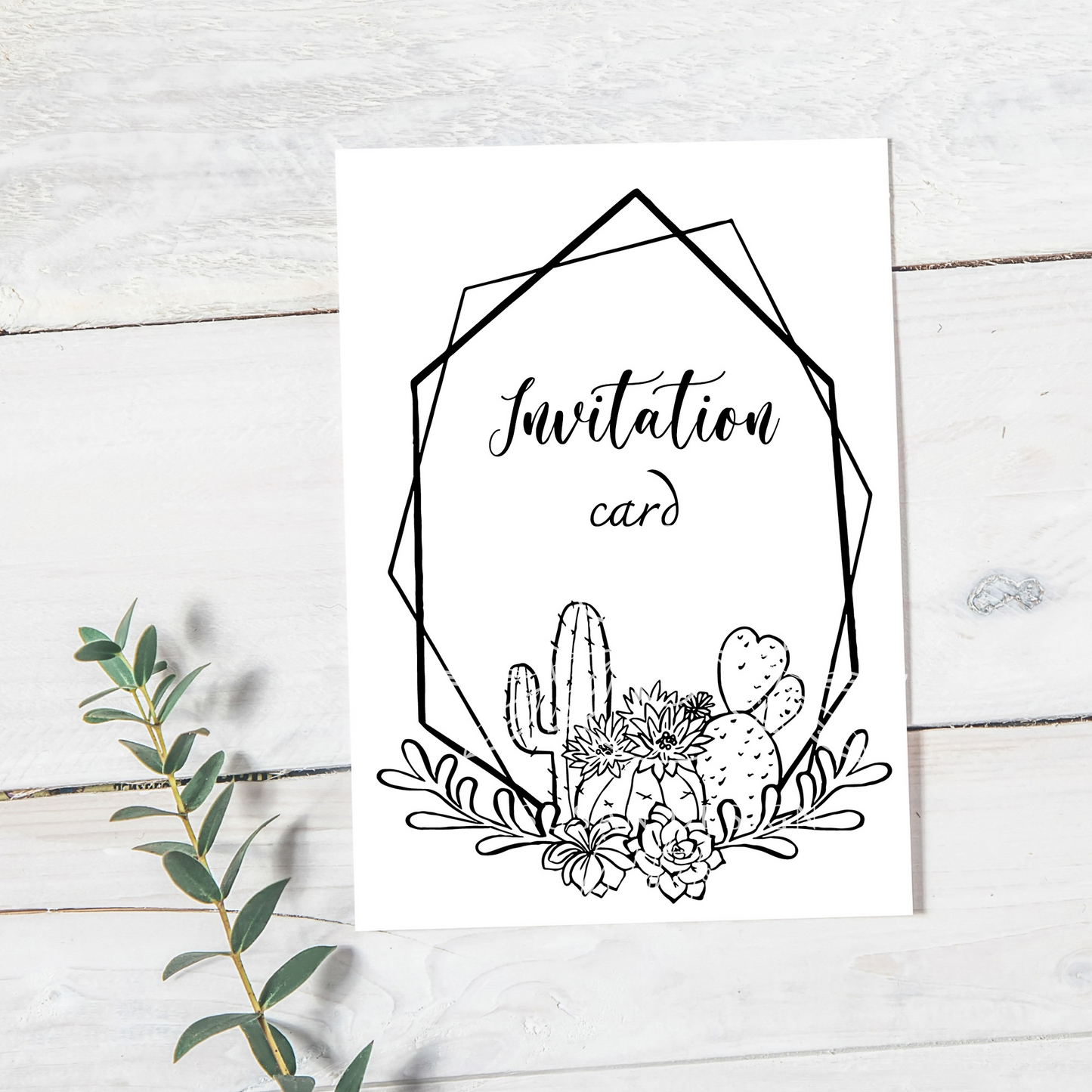 Cactus and Succulent plant  Outline frame SVG Bundle